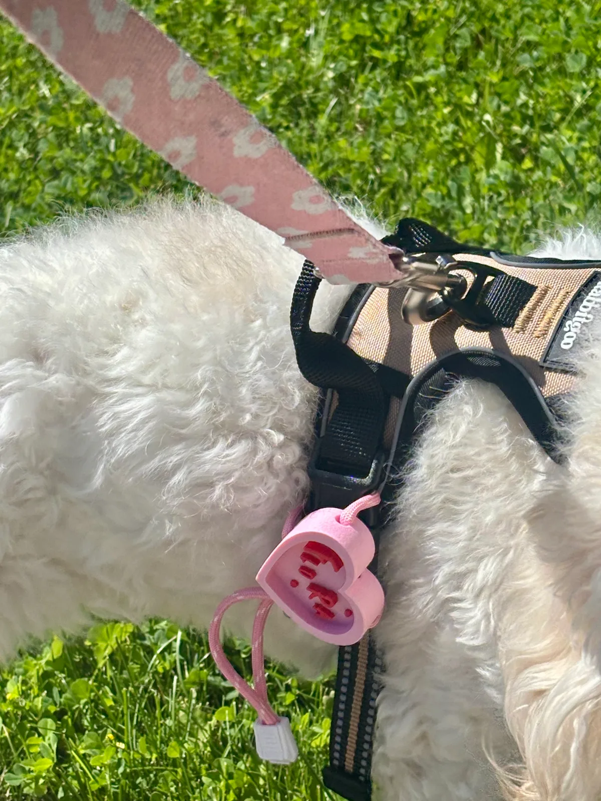 Smart Pet Tag worn on a dog harness