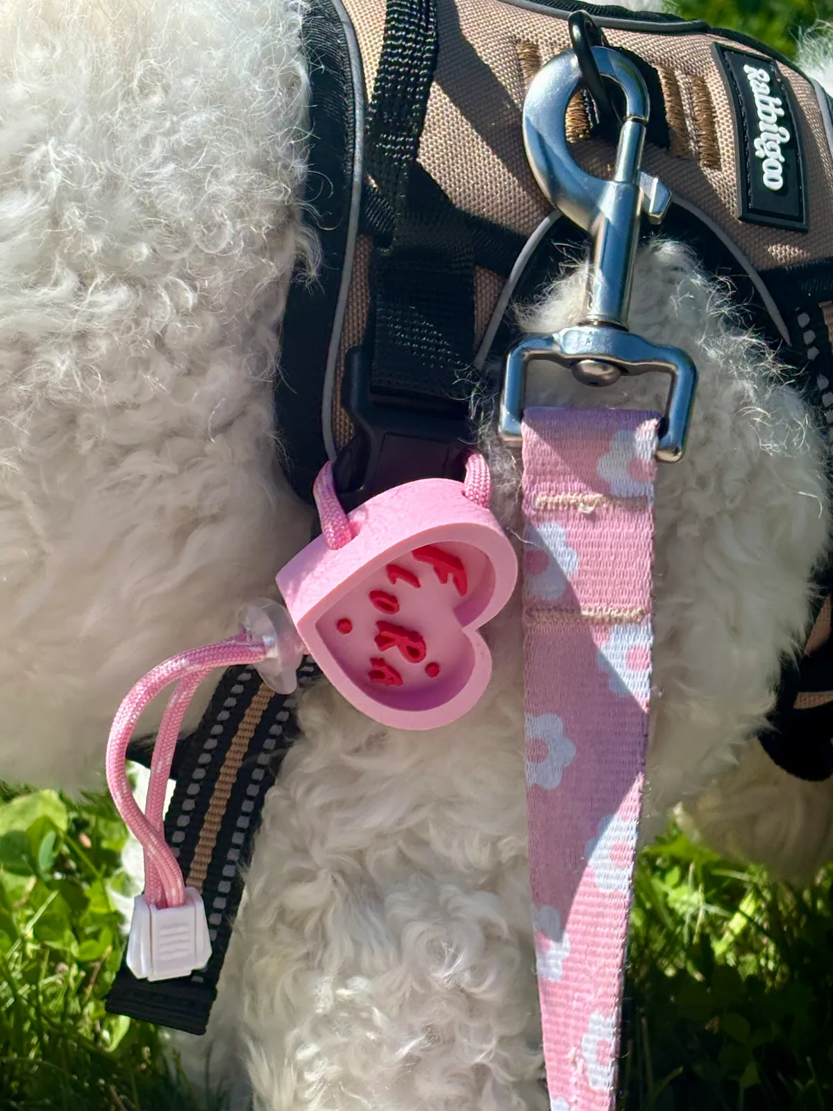 Smart Pet Tag secured to a harness on a walk