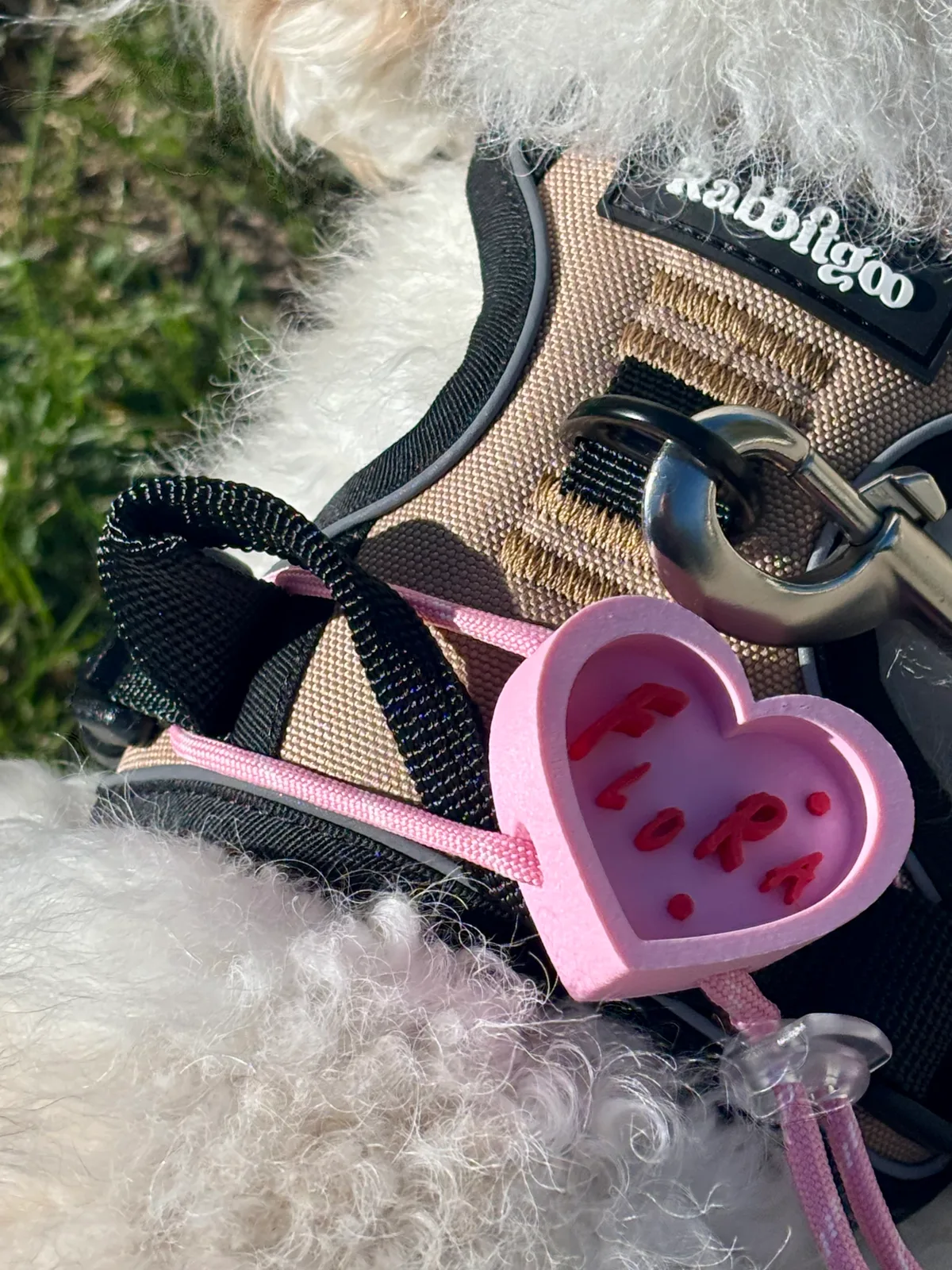 Smart Pet Tag close-up on a harness