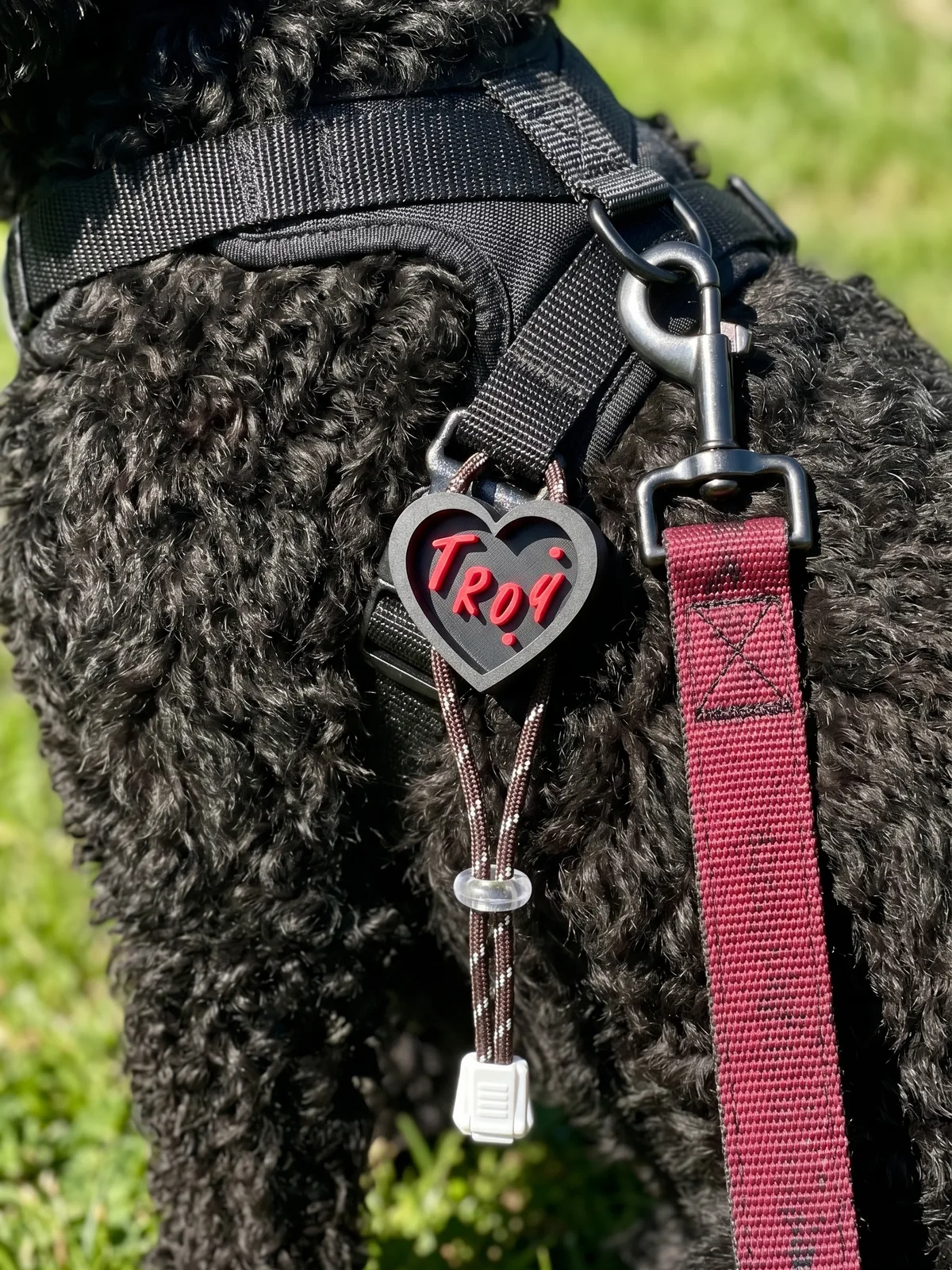 Black Smart Pet Tag engraved with a pet's name, on a black harness
